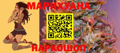 спайс Малгобек