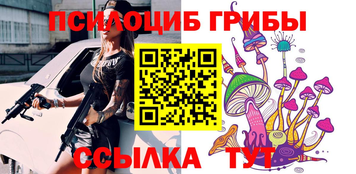 Псилоцибиновые грибы Psilocybine cubensis Тайшет